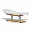 Spa Wellness behandeltafel TEJAS met gratis verwarming